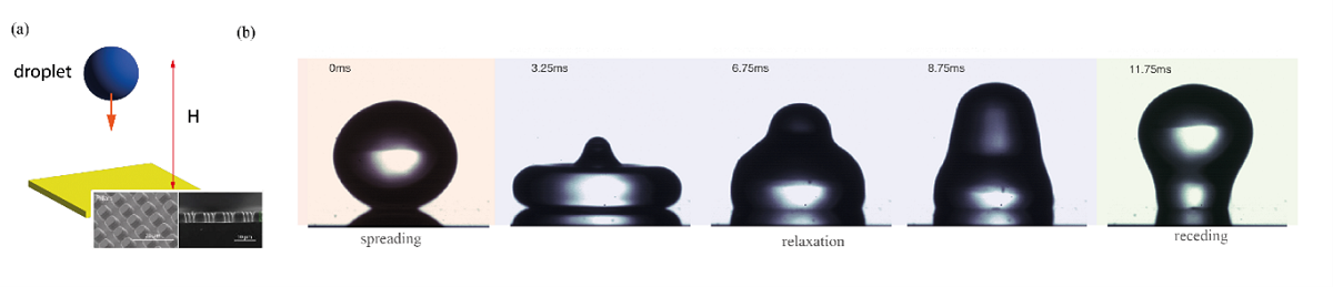 droplets in different phases. Photo
