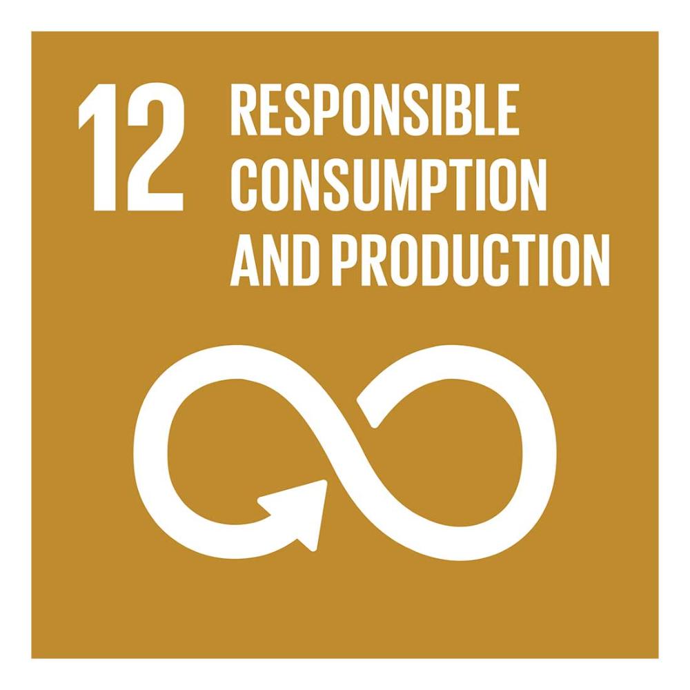 un sustainable development goal number 12