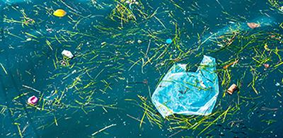 Photo of plastic waste in sea