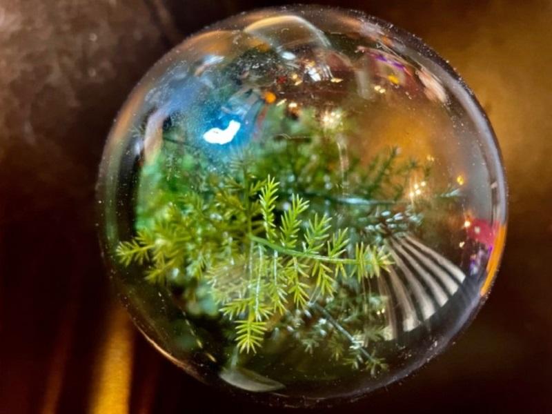 Glass ball with reflections of different objects. Photo.