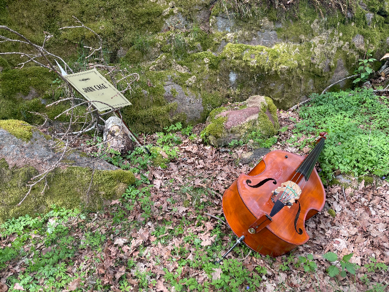 Bass and sheet music in nature