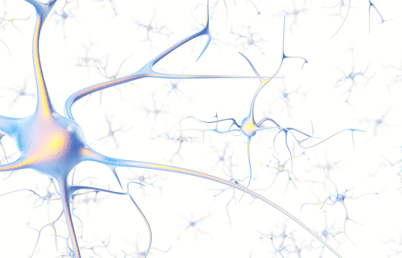 Neuron. Foto: Colourbox.dk/#226523