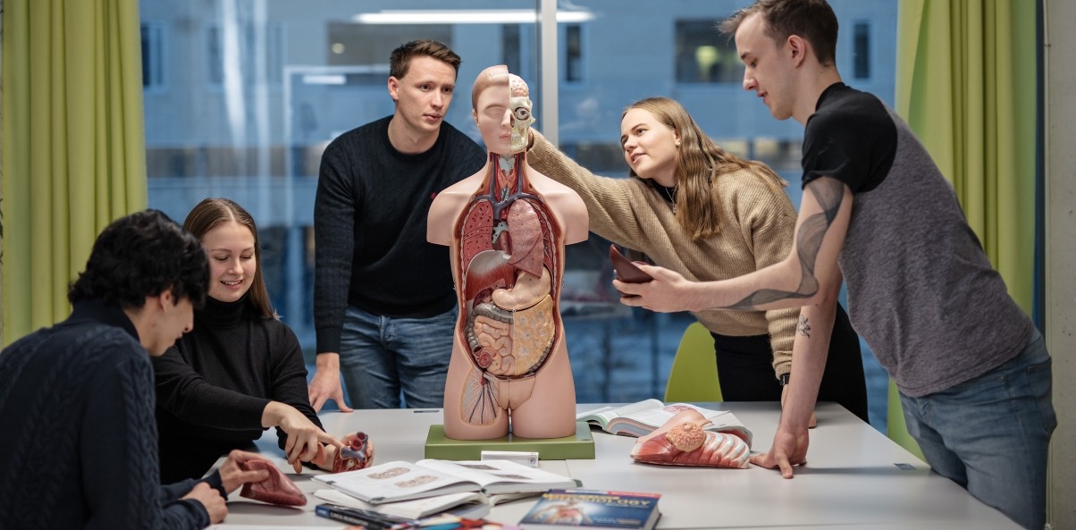 Students in group work - anatomy