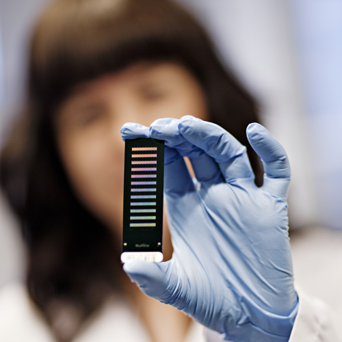 Researcher holds out a DNA chip
