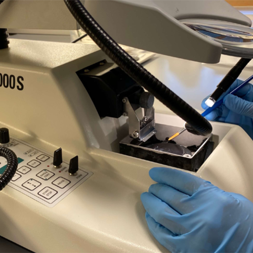 Close-up of instrument with which a researcher cuts tissue