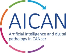 Logo aican