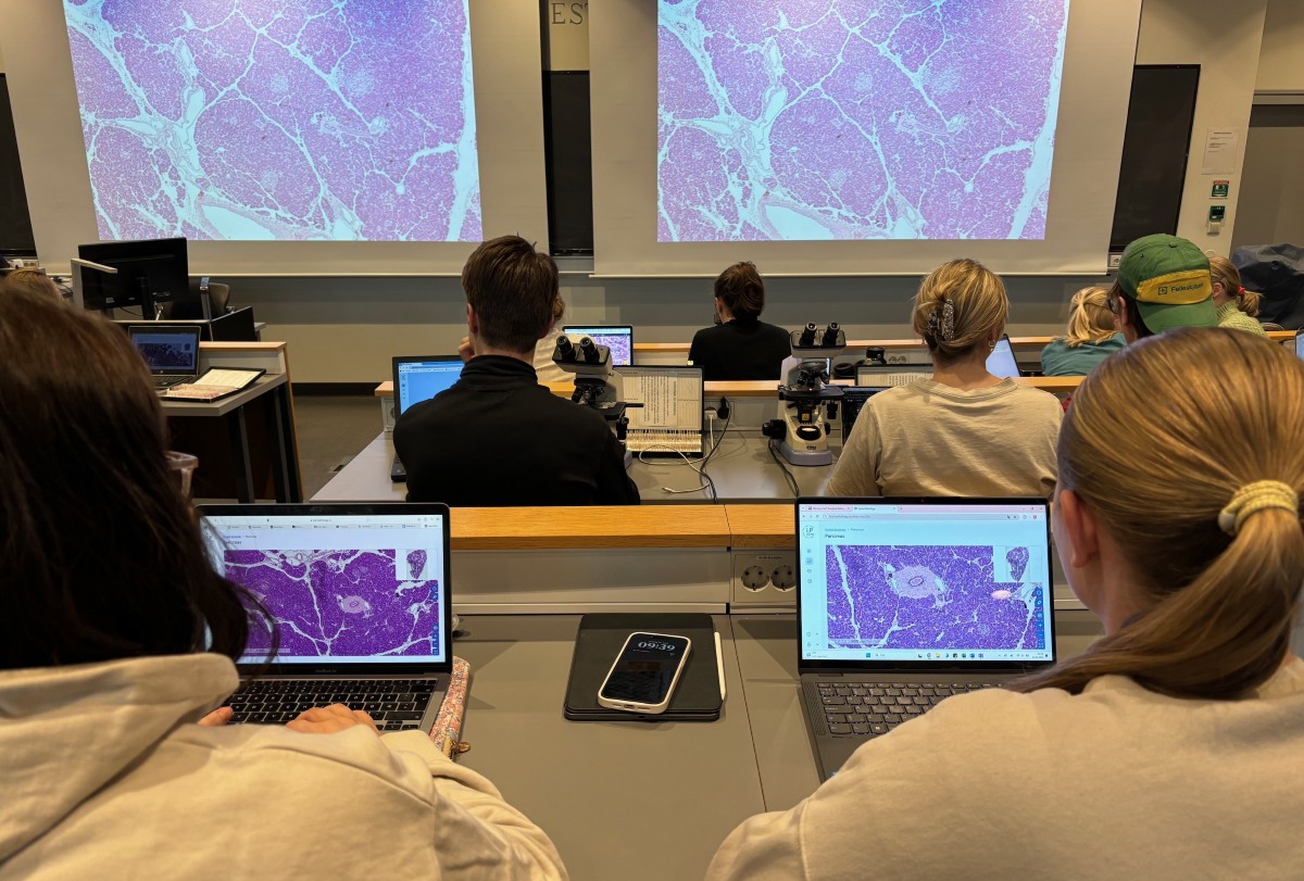 Students in auditorium using Learnpathology on computers.