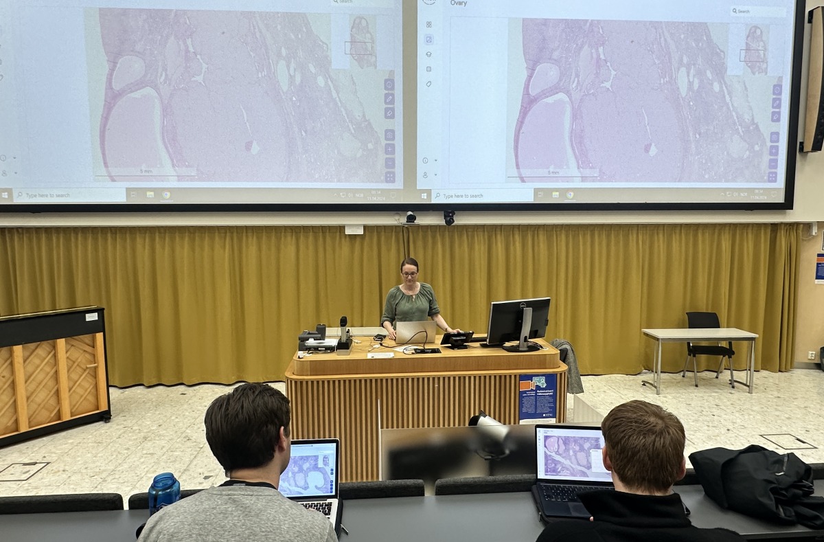 Teacher at desk in large auditorium.