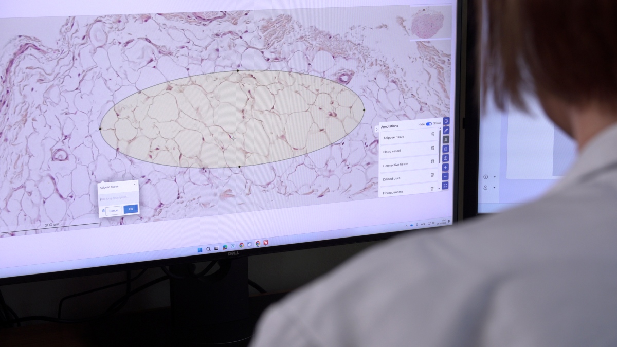 Teachers head in front of screen with digital tool