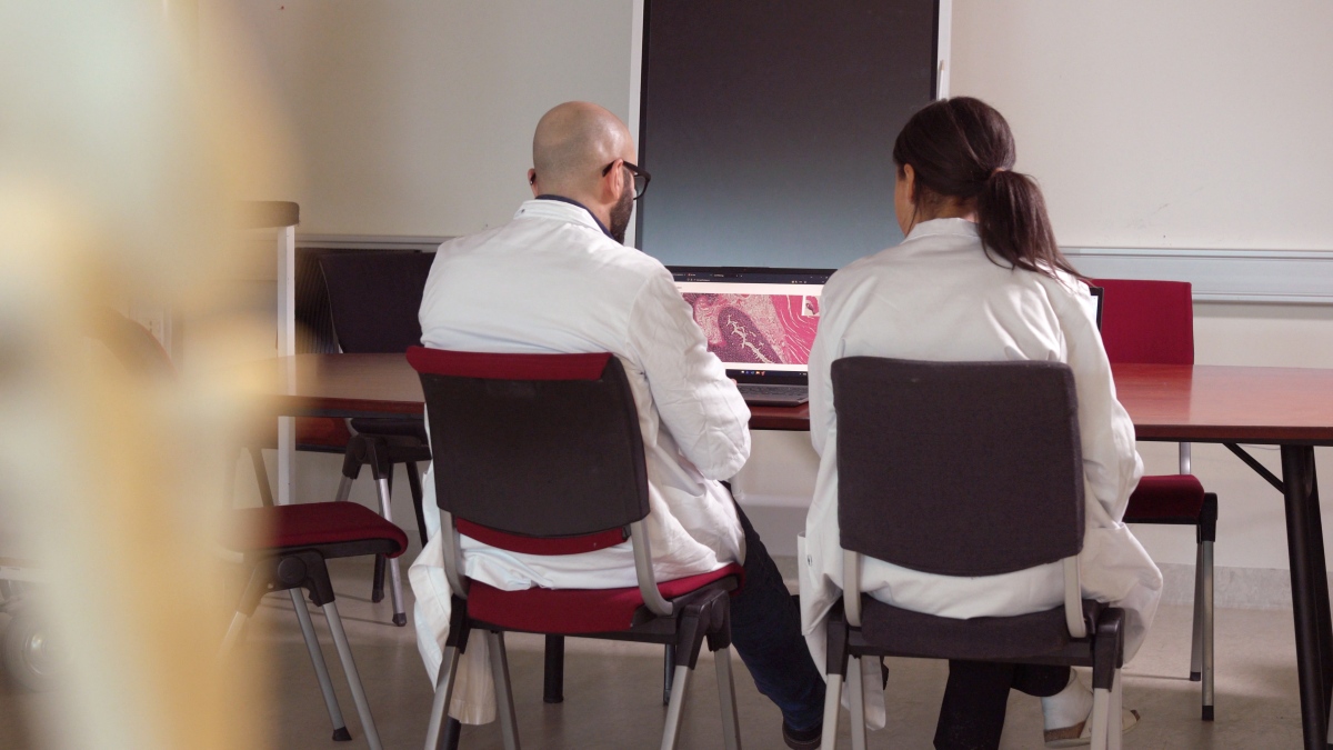 2 back facing Students cooperating in front of lap top.