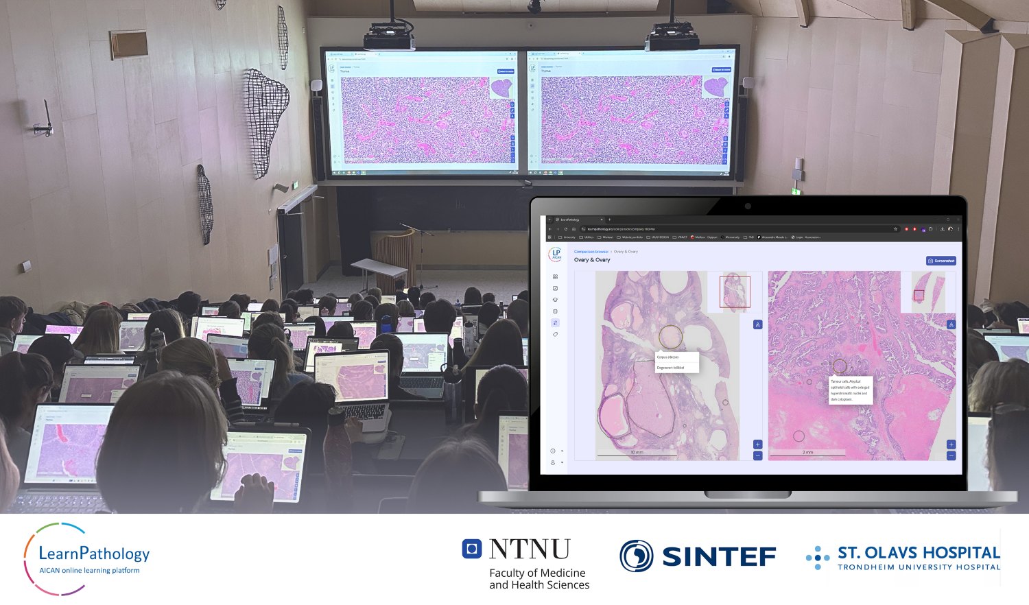 Students in auditorium. LearnPathology in use on screens.