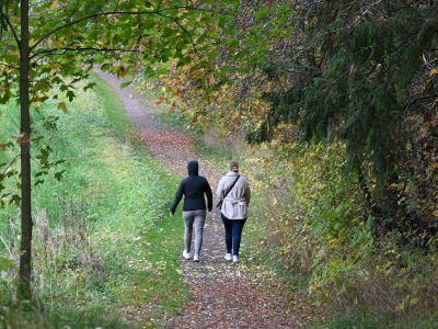 Two people are taking a walk along a trail.