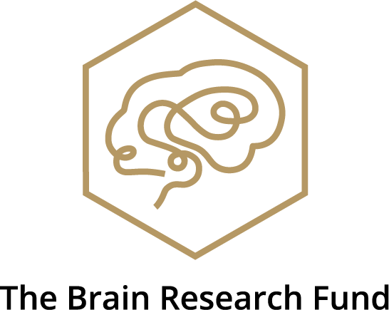 The Brain Research Fund logo. Links to Hjerneforskningsfondet.no