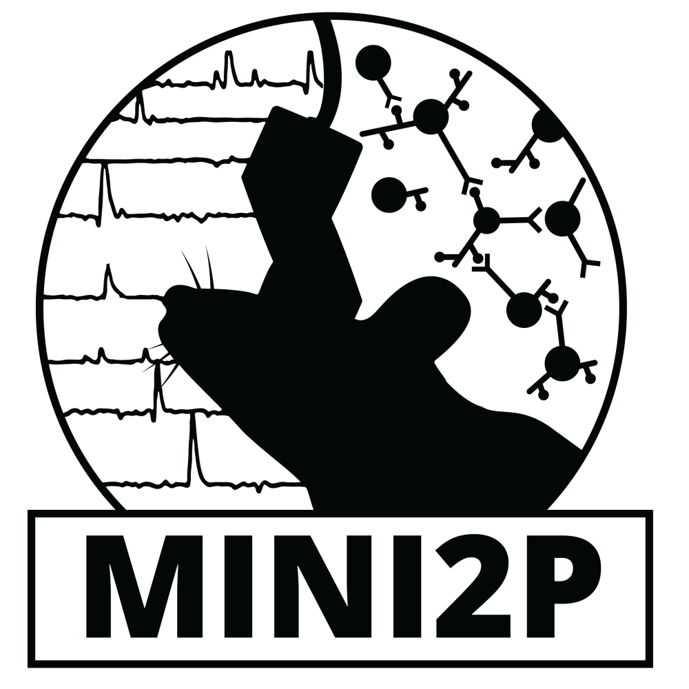 Mini2P logo