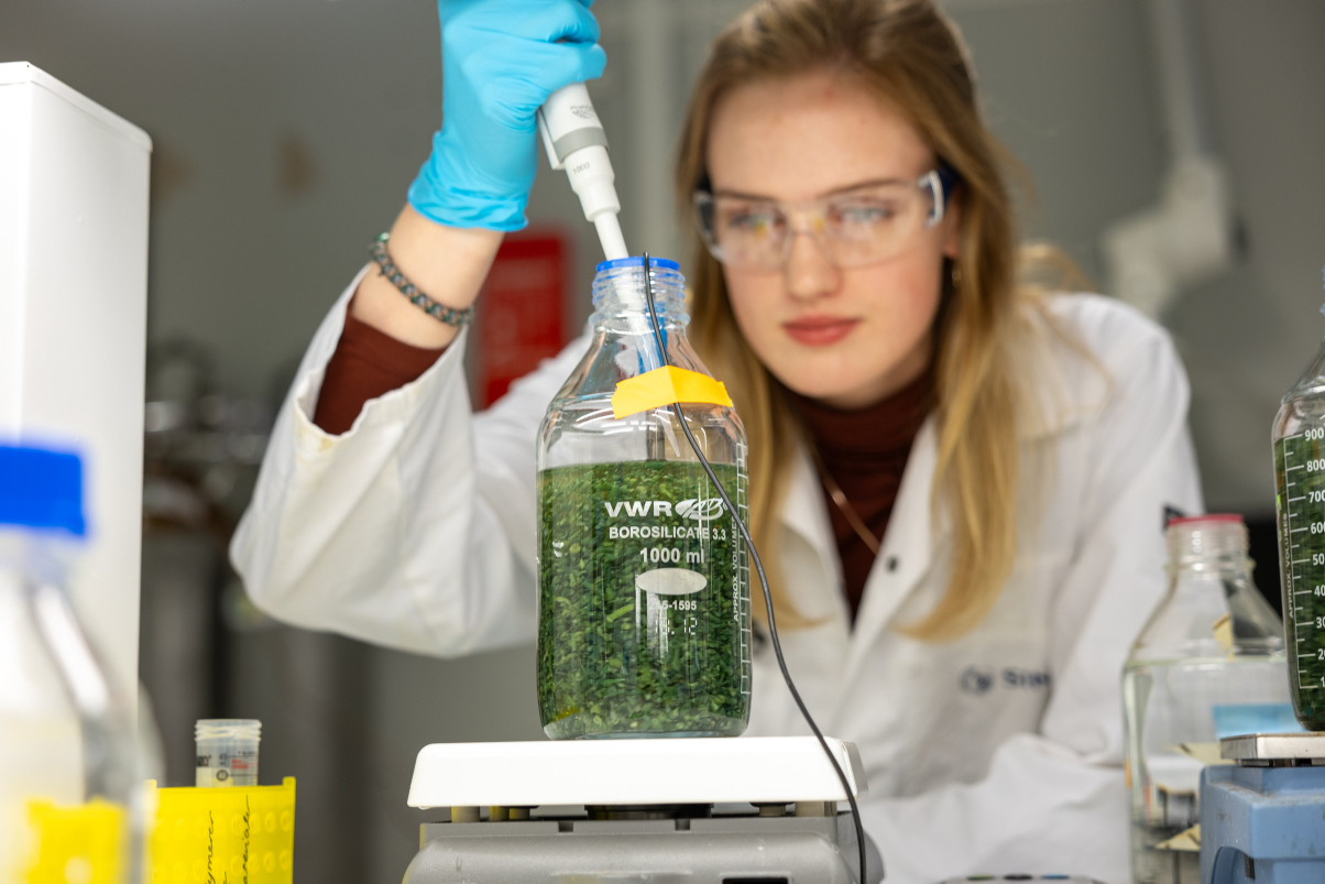 A female student is using a pipette to stir in green mass in a glass flask. Photo