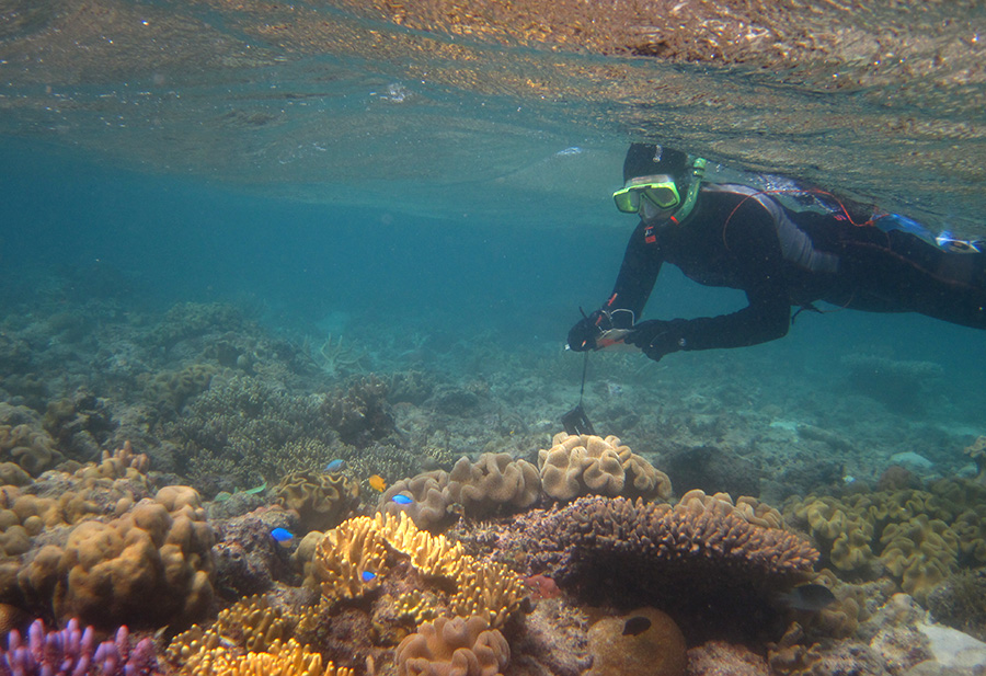 Studying reef fish behaviour. Photo: Trond Amundsen