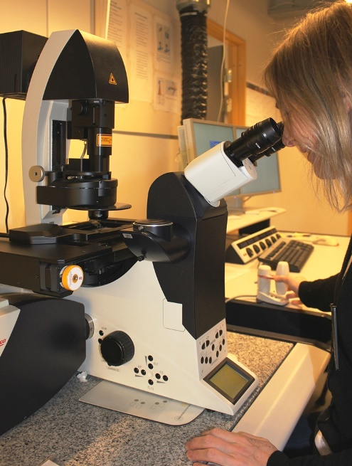 Astrid Bjørkøy and the confocal microscope Leica TCS SP5. Photo