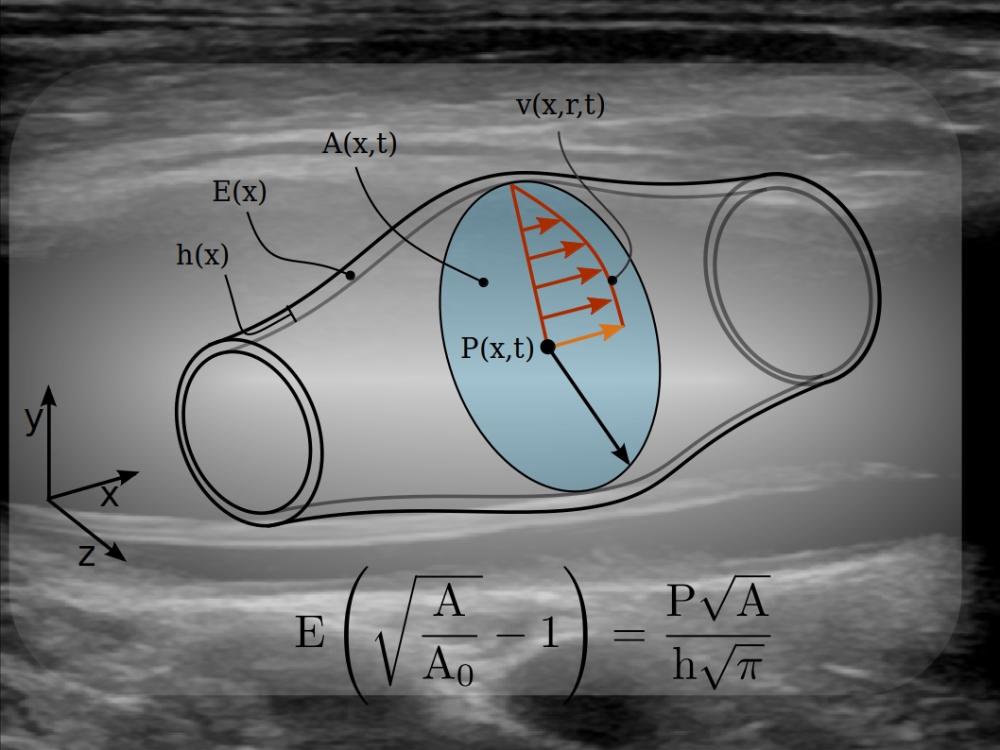Division of Biomechanics - NTNU