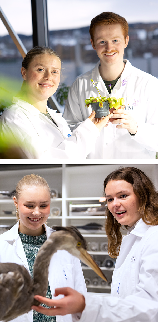 Two images with two students studying together with plants and a stuffed bird