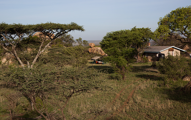 The savannah with a house. Photo