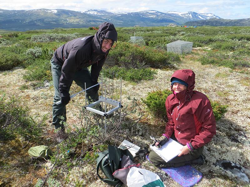 Researchers working on the tundra. Photo