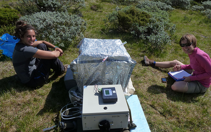 Dark measurement in the meadow, with happy field assistants. Photo: Mia Vedel Sørensen.
