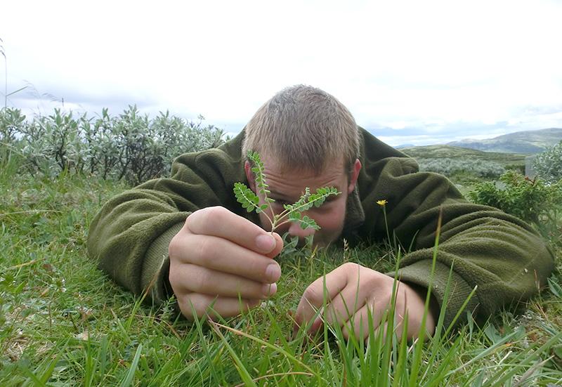 Researcher laying down showing vegetation. Photo