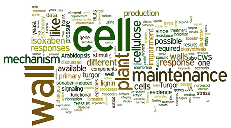 Tag cloud - Functional plant biology