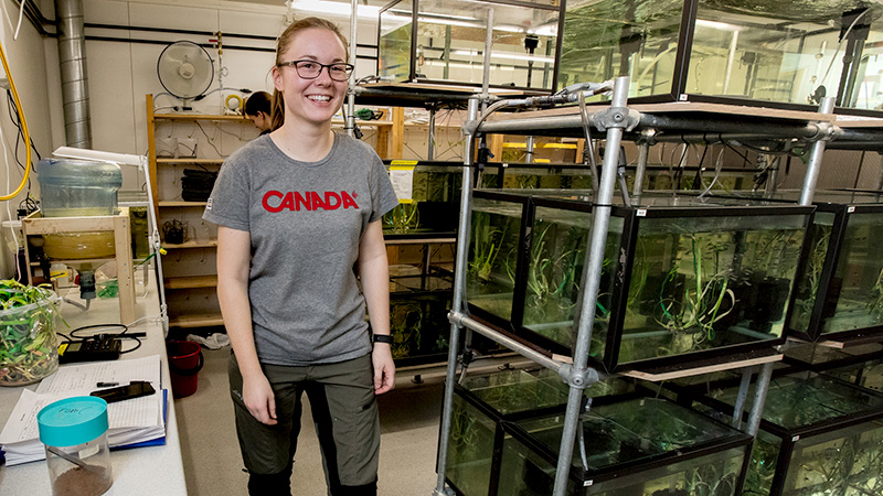 Researcher in the lab with several aquariums. Photo