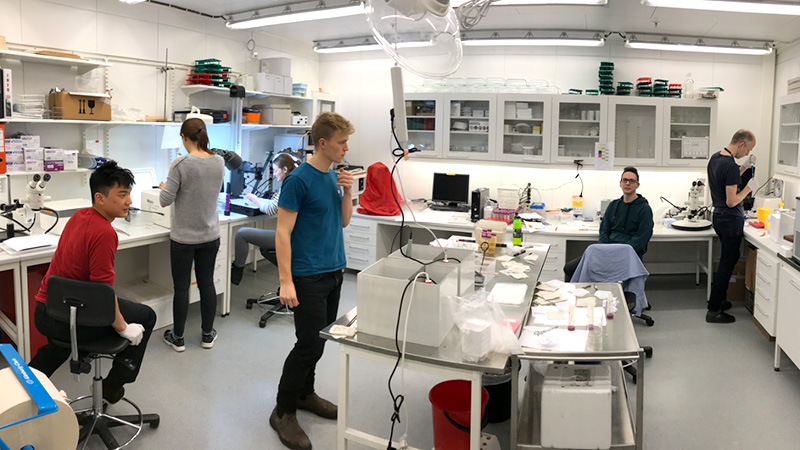 Several researchers working in the lab. Photo