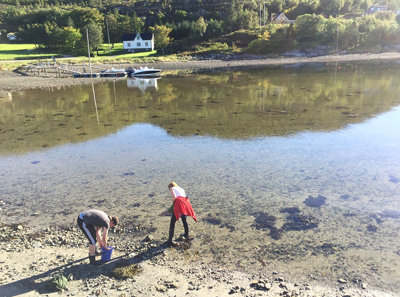 Collecting samples on the shore. Photo