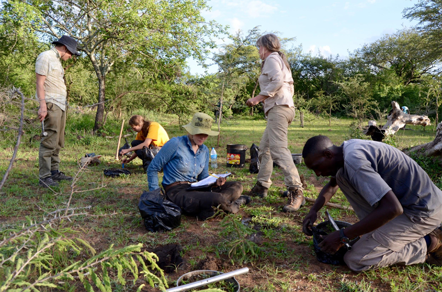 Field work in Tanzania