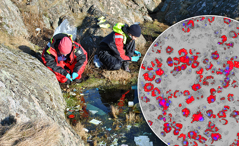 Collage with researchers collecting plastic samples combined with sample view in microscope. Photo