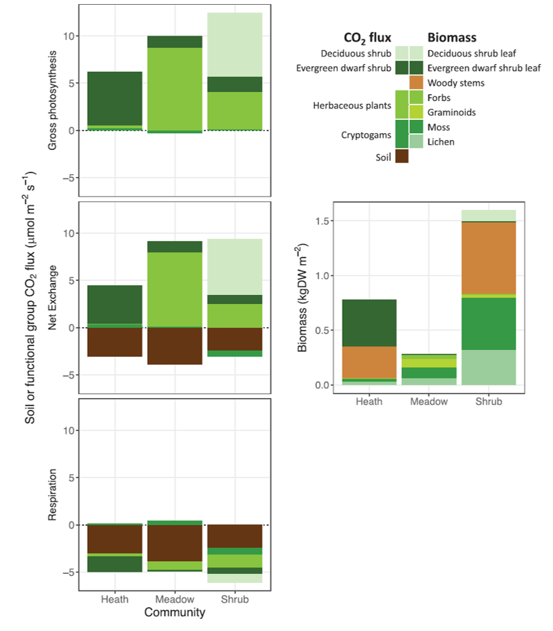 Charts showing carbon fluxes in arctic-alpine ecosystems. Photo