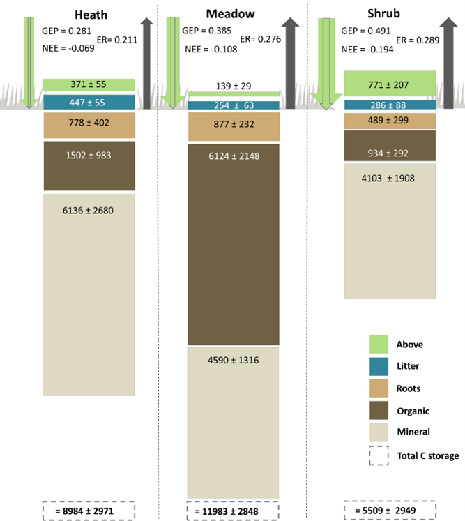 Charts showing carbon storage fluxes