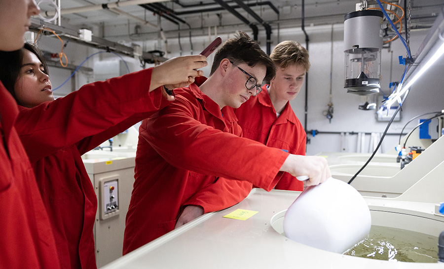 Students transferring salmon fry at SeaLab