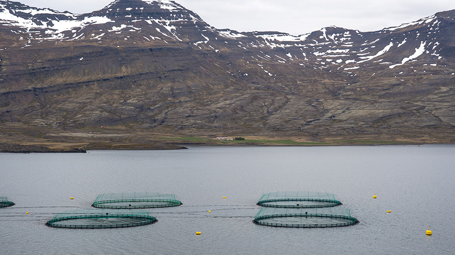 Fish farms with a mountain view