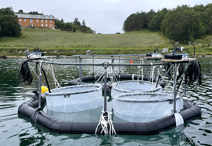 Instrument to collect marine specimens