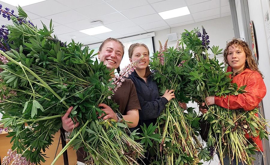 Three women holding a lot of plants from outside