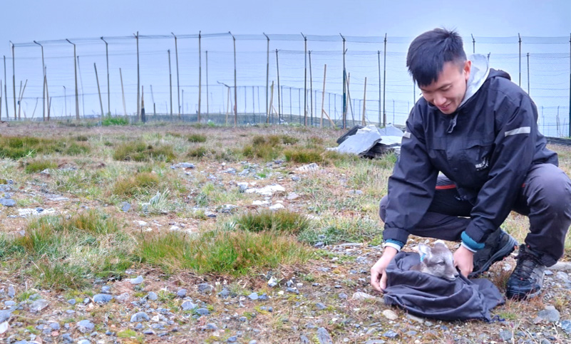 A man taking out an arctic fox from a bag