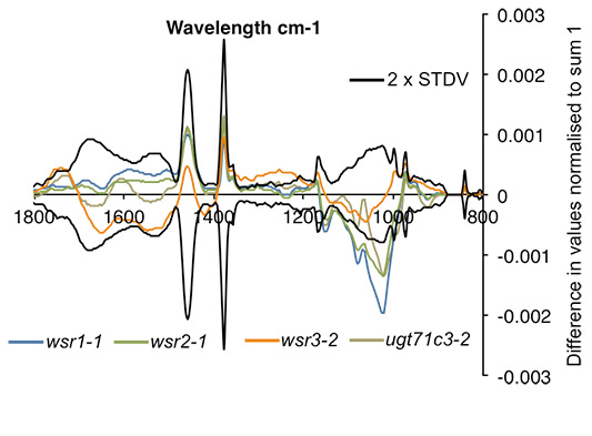 Graphic representations of FTIR spectra from wildtype controls