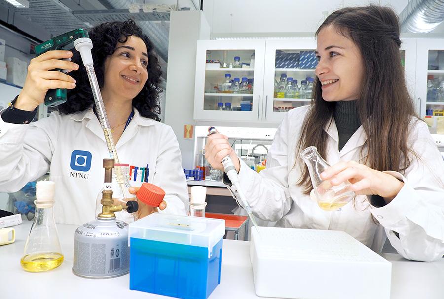 Two researchers in the lab. Photo