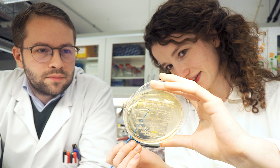 Two focused PhD candidates in the lab. Photo
