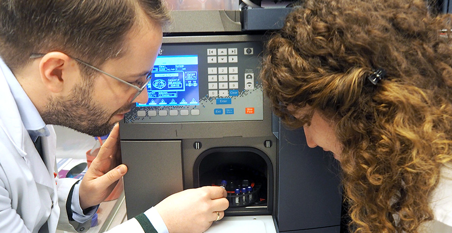 Two researchers with an experiment in the lab. Photo