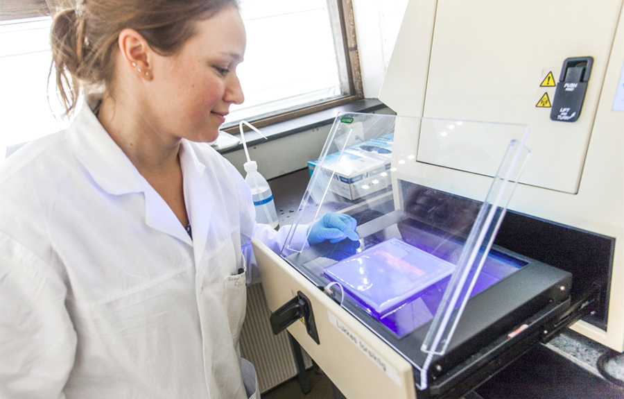 Researcher doing experiments in the laboratory. Photo