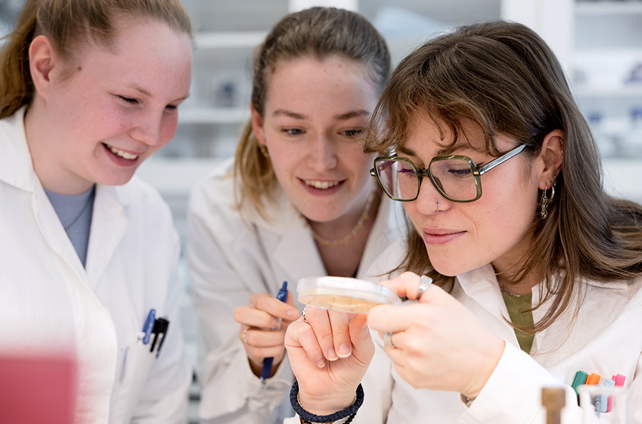 Three students in a laboratory examining a sample