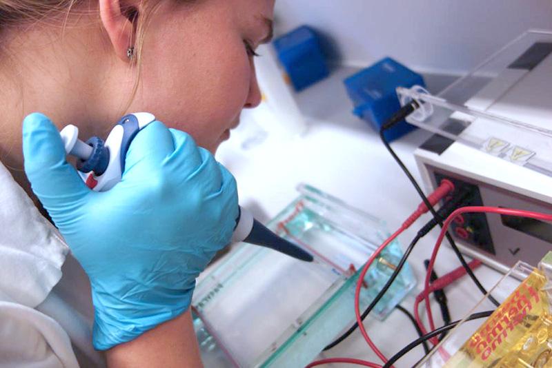 Master student loading an agarose gel in the lab. Photo