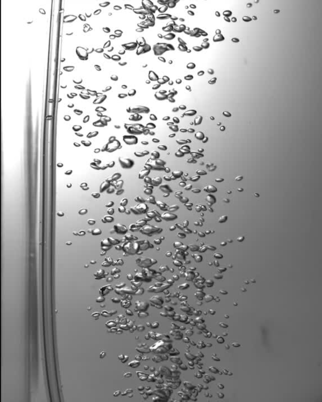 Picture of air bubbles in water