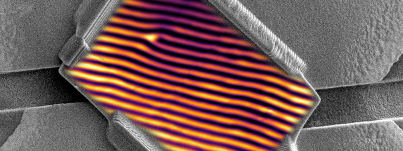 Picture of topological defects.