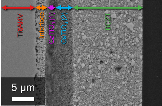 Microstructure